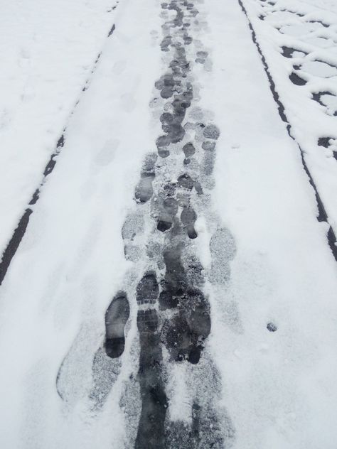 The Fear Natasha Preston, Snow Footprints, Angel By The Wings, Picnic Pavilion, Running In The Snow, Footprints In The Snow, Running In Snow, Snow Trails, Snow Crafts