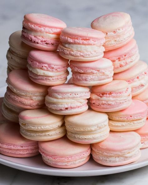 strawberry cheesecake macarons. there is about a 100% chance I will never make these, but at least now i have the recipe Cheesecake Macarons, Macaron Dessert, Kue Macaroon, Macaroon Recipes, Dessert Party, Macaron Recipe, Strawberry Cheesecake, Healthy Dessert, Macaroons