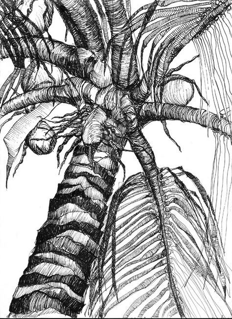 The Night Shift: Another Take on a Palm Tree Palm Tree Sketch, Palm Tree Drawing, Coconuts Beach, Tree Drawings Pencil, Pencil Drawing Tutorials, Tree Sketches, Art Pen, Work Art, Plant Drawing