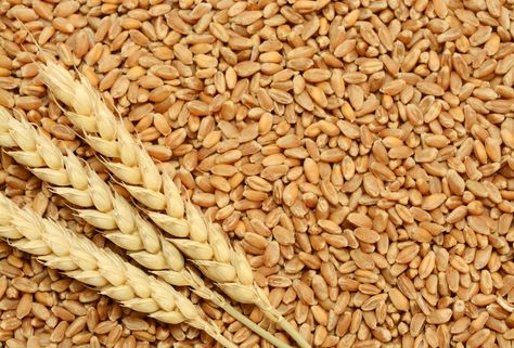 World demand for wheat is constantly growing. Image via Shutterstock.com Commodity Trading, Organic Rice, Agriculture Farming, Farm Market, Human Food, Whole Wheat Bread, Grain Foods, Wheat Bread, Chapati