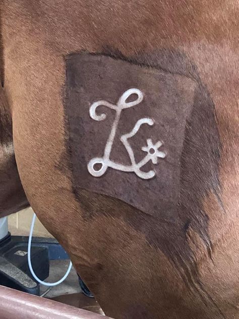 Horse brand Horse Branding Ideas, Freeze Branding Horses, Horse Brands Ideas, Western Branding, Farm Branding, Livestock Branding, Cattle Brands, Horse Brand, Brand Symbols