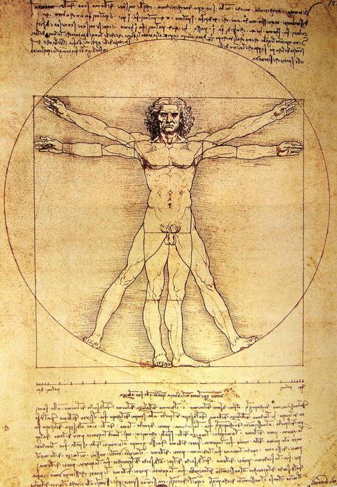 Da Vinci Vitruvian Man, Vitruvian Man, Famous Art, 판타지 아트, Anatomy Art, Human Figure, Larp, 그림 그리기, Classic Art