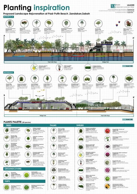 Proposed landscape rejuvenation at Pasir Putih Beach Sandakan ,Sabah Beach Landscape Design Architecture, Landscape Design Portfolio Ideas, Landscape Architecture Board, Campus Landscape Architecture, Landscape Architecture Plants, Sandakan Sabah, Beach Landscape Design, Landscape Presentation, Campus Landscape Design