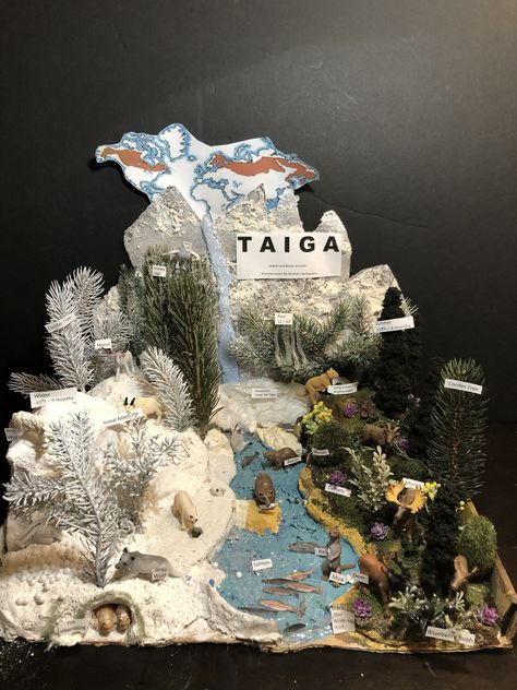 Taiga Taiga Biome, House Design, Design, Art