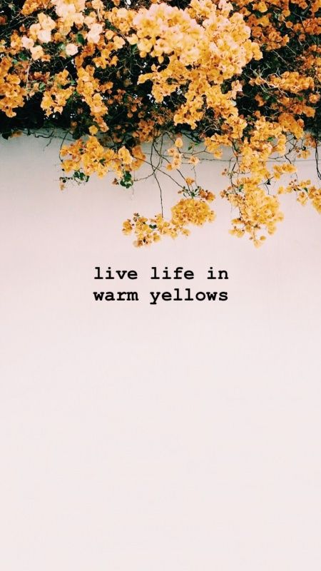 pinterest & insta: @esherwoo13 VSCO -leahcorneauu Flower Quotes Love, Yellow Quotes, Season Quotes, Love Thoughts, Color Quotes, Sanya, Flower Quotes, Trendy Quotes, Visual Statements