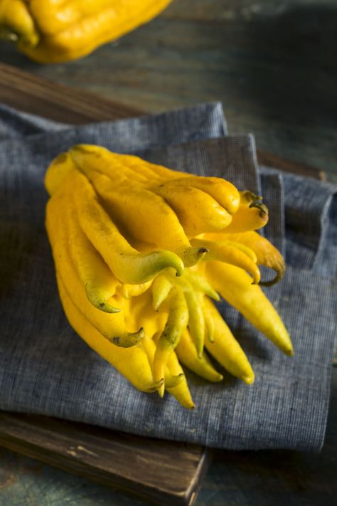 Thousand Hands Buddha, Buddha's Hand Fruit, Buddha Shaped Pears, Buddhas Hand, Buddha's Hand, Scale Insects, Colored Glasses, Out Of Your Comfort Zone, Citrus Trees