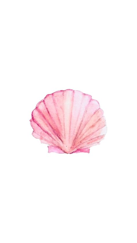 Aesthetic Pictures For Wall Collage Pink, Beachy Wallpapers Pink, Pink Shell Wallpaper, Seashell Background Iphone Wallpapers, Seashell White Background, Pink Sea Shells Wallpaper, Bow Wallpaper Iphone, Wallpapers Rosa, Beachy Prints