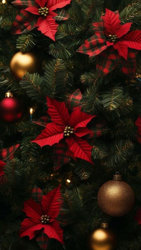 Christmas Floral Wallpaper Iphone, Christmas And New Year Wallpaper, Poinsettia Wallpaper Iphone, Christmas Flower Aesthetic, Warm Christmas Aesthetic Wallpaper, Wallpaper Natal Aesthetic, Cute Trendy Wallpaper, Christmas Background Wallpapers, Noel Wallpaper