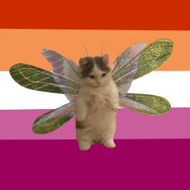 A lesbian flag with the picture of a cat with fairy wings on Queer Pride Flag, Iphone Wallpaper Cat, Lgbtq Funny, Identity Crisis, Cat Pfp, Love My Girlfriend, Wallpaper Cat, What To Write, I Love My Girlfriend