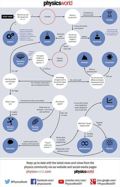 What type of scientist are you? Flowchart Types Of Scientists, Flow Chart, Natural Medicine, What Type, Scientists, Physics, Science