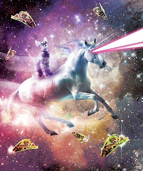 Pick up this crazy galaxy kitty on a flying unicorn design. This epic cosmic kitten design makes a perfect gift so pick one up for you and a friend today. • Also buy this artwork on wall prints, apparel, stickers, and more. Kitten Sitting, Cat Riding, Unicorn Poster, Flying Unicorn, Galaxy Cat, Mythical Beast, Rainbow Cat, Whimsical Cats, Space Poster