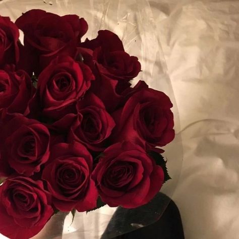 Maroon Aesthetic, Wine Aesthetic, Red Aura, Red Aesthetic Grunge, Dark Red Roses, Red Vines, I See Red, Nothing But Flowers, Red Icons:)