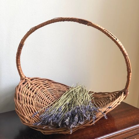 A gorgeous vintage flower gathering basket from Portugal. This mid-20th century basket features a rich and warm patina and tall rounded handle with banded detail. Perfect for displays or use in the garden. Flat Basket, Produce Basket, Garden Baskets, Sewing Basket, Basket Collection Display, Vintage Basket, Farmers Market Basket, Woven Baskets, Gathering Basket