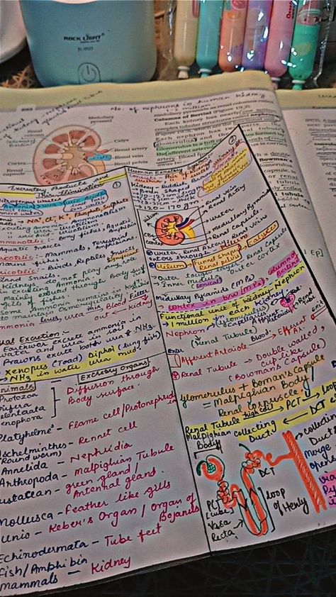 Neet Exam Notes Biology Human Physiology, Neet Preparation Tips 2024, Notes Snap, Ncert Biology, Cell Biology Notes, Books And Pens Photography, Bio Notes, Study Snaps Ideas, Neet Notes