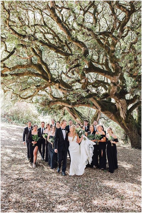 Classic Black Wedding Party Attire for OVY Camp Wedding | Ashley Carlascio Photography | This wedding party wore classic black dresses and tuxes for this couple's adventurous, camping themed wedding at OVY Camp and Event Center in San Gregorio, California. See more on the blog! #ovycampwedding #californiawedding #californiaphotographer Black Wedding Party Attire, Black Wedding Party, Wedding Party Attire, Bay Area Photography, Half Moon Bay California, Coastal Redwood, Summer Camp Wedding, Outdoorsy Couple, Adventurous Wedding