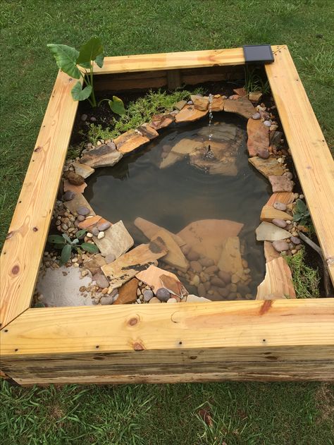 Our new DIY above ground pond for Bella the turtle! Tartaruga Habitat, Above Ground Pond, Turtle Enclosure, Animal Enclosures, Turtle Homes, Tortoise Enclosure, Turtle Habitat, Turtle Pond, Diy Pond