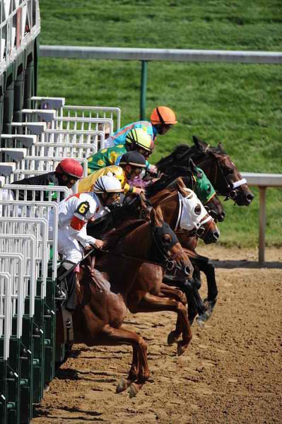 Horse Racing Track, Thoroughbred Horse Racing, Sport Of Kings, Horse Aesthetic, Churchill Downs, Kentucky Derby Party, Thoroughbred Horse, Derby Day, Triple Crown