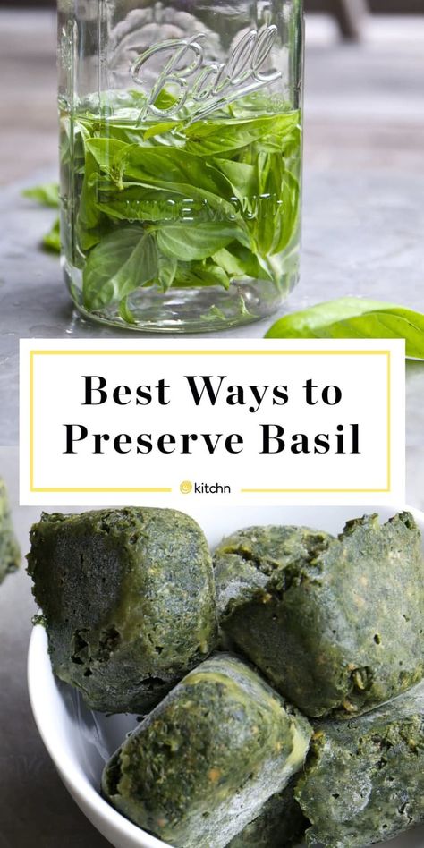 Preserving Basil, Dried Basil Leaves, Freezing Herbs, Preserving Herbs, Basil Recipes, How To Make Pesto, Herb Recipes, Sun Garden, Garden Plans