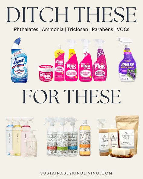 non toxic cleaning supplies