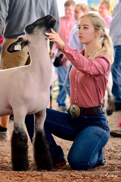 Showmanship Outfit Livestock, Cute Livestock Show Outfits, Sheep Showing Outfits, Goat Showing Outfits, Goat Show Outfits, Livestock Show Outfits Sheep, Showing Livestock Outfits, Livestock Judging Outfits, Ffa Outfits