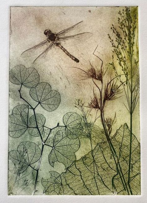 Collagraph Printmaking, Intaglio Printmaking, Framed Portrait, Plant Kingdom, Drypoint Etching, Australian Natives, Seed Heads, Pond Life, Etching Prints