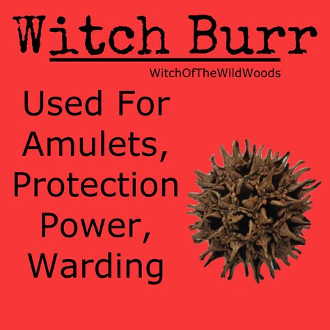 WitchOfTheWildWoods Tree Witchcraft, Buckthorn Tree, Spell Components, Bind Runes, Hearth Witch, Flower Symbolism, Magickal Herbs, Spiritual Things, Wiccan Magic