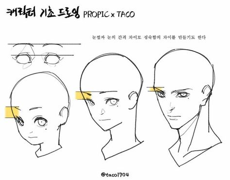 Facial Structure, 얼굴 드로잉, Anatomy Tutorial, 얼굴 그리기, Manga Drawing Tutorials, Drawing Heads, Anatomy Sketches, Body Reference Drawing, Anatomy Drawing