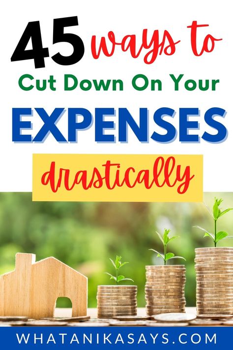 How to drastically cut expenses in 45 easy ways with simple changes in your life style, you can cut expenses. #cutexpensesdrastically #savemoney #waystocutexpenses #frugallivingtips Stocking Pantry, Appalachian People, Provident Living, Debt Plan, Money Smart, Monthly Bills, Cut Expenses, Household Expenses, Money Budget