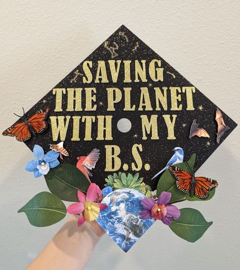 Earth Graduation Cap, Graduation Cap Designs Environmental, Science Cap Decoration, Ecology Graduation Cap, Geography Graduation Cap, Zoology Graduation Cap, Wildlife Graduation Cap, Geology Graduation Cap, Graduation Cap Designs Nature