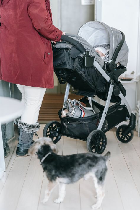 Hey mamas! Go check out this cute finctionable stroller for your little one. <3 Graco Modes Pramette Travel System, Includes Baby Stroller with True Pram Mode, Reversible Seat, One Hand Fold, Extra Storage, Child Tray and SnugRide 35 Infant Car Seat, Ellington Graco Travel System, Graco Stroller, Stroller Car Seat, Hey Mama, Infant Car Seat, Travel System Stroller, Baby Stroller, Travel System, Extra Storage