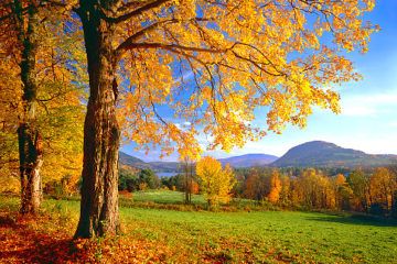 Desktop Wallpaper Fall, New England Fall, Autumn Beauty, Green Mountain, Nature Backgrounds, Fall Foliage, Image Hd, Of Wallpaper, Dream Vacations