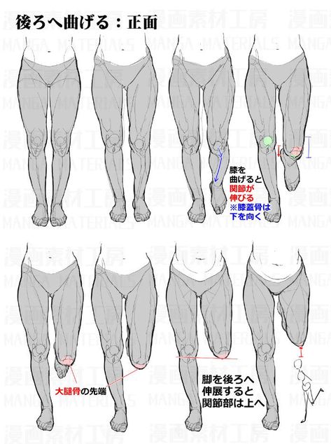 Leg Anatomy, Drawing Legs, Human Anatomy Drawing, Body Drawing Tutorial, Human Anatomy Art, Anatomy Sketches, Body Reference Drawing, Poses References, Anatomy Drawing