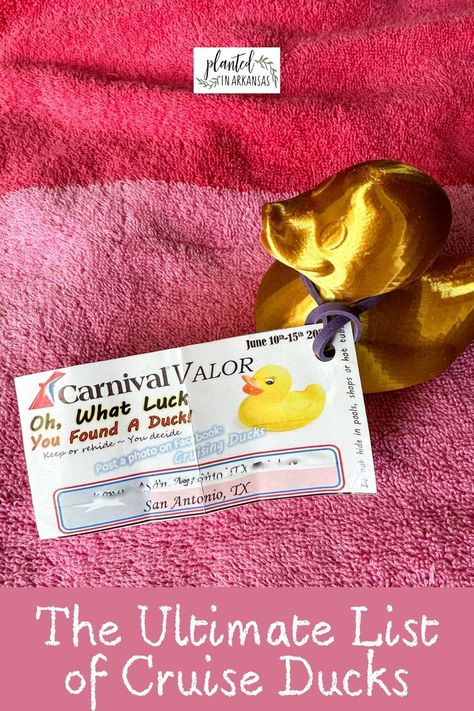 Cruising Ducks Ideas, Cruise Ducks Ideas Diy, Cruise Ducks Ideas, Cruise Ducks, Carnival Valor, Duck Earrings, Fun List, Lucky Duck, Rubber Ducks