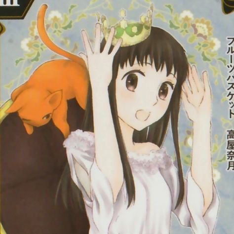 Fruits Basket Tohru, Aesthetic Fruits, Tohru Honda, Fruits Basket, Blue Box, Cute Kawaii, Tik Tok, Anime