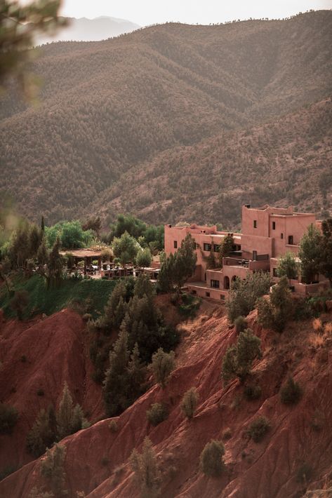 IS IT WORTH VISITING THE ATLAS MOUNTAINS DURING YOUR TRIP TO MOROCCO? Morocco Mountains, Blue Atlas Cedar, Casablanca Hotel, Morocco Trip, Morocco Aesthetic, Travel Morocco, Atlas Mountains Morocco, Visit Morocco, Some Beautiful Pictures