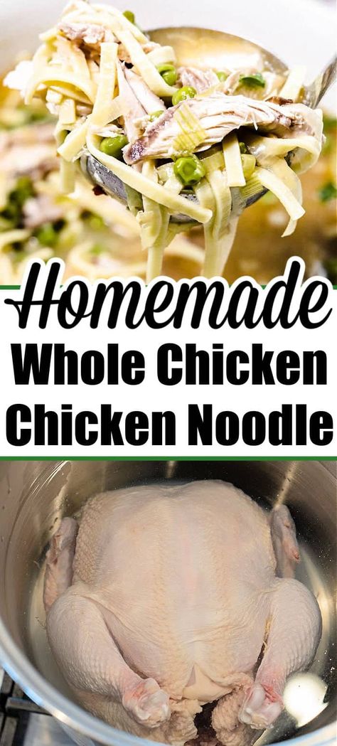 Whole chicken soup is here! How to make homemade chicken noodle soup with whole chicken, fresh or frozen and other recipes with this bird. Soup With Whole Chicken, Whole Chicken Soup, Chicken Soup Recipes Homemade, Best Chicken Noodle Soup, Flexitarian Recipes, Cooking Whole Chicken, Chicken Fresh, Homemade Chicken Soup, Homemade Chicken Noodle