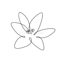 Lily Flower Simple Drawing, Lily Line Art, Easy Flower Drawings, Japanese Drawings, One Line Drawing, Organza Flowers, Illustration Cartoon, Family Tattoos, White Lilies