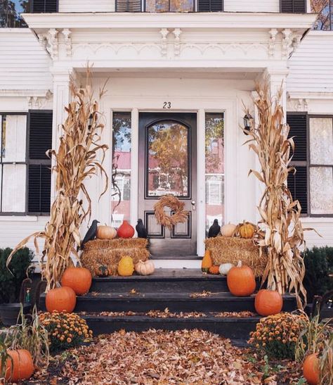 Fall Room Decor Archives - Hike n Dip Corn Stalks Front Porch, Dream Porch, Fall Szn, Fall Front Porch Decor Ideas, Outside Fall Decor, Corn Stalks, Rustic Porch, Fall Front Porch Decor, Halloween Inflatables