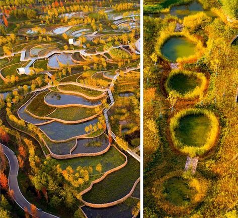 The environmental project The Handan Wastewater Cleansing Terraces is intended to transform a former landfill into a natural landscape with wetlands. A specially configured cascade system cleanses urban wastewater. An inhospitable wasteland will in this way become a park-like landscape, which is in addition accessible for teaching purposes. Turenscape was awarded Best of Best in the ICONIC AWARDS: Innovative Architecture. Urban Forest Design, Terraced Landscaping, Industrial Garden, Retail Architecture, Lampang, Wetland Park, Stadium Design, Urban Forest, Innovative Architecture