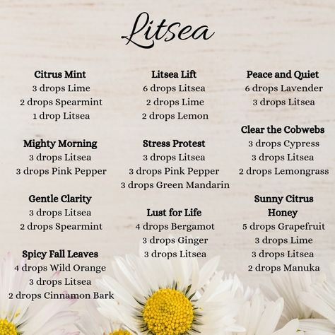 Litsea Doterra, Floral Essential Oil Blends, Doterra Recipes, Doterra Diffuser, Doterra Diffuser Blends, Doterra Oil, Floral Essential Oils, Doterra Essential Oils Recipes, Essential Oil Diffuser Recipes