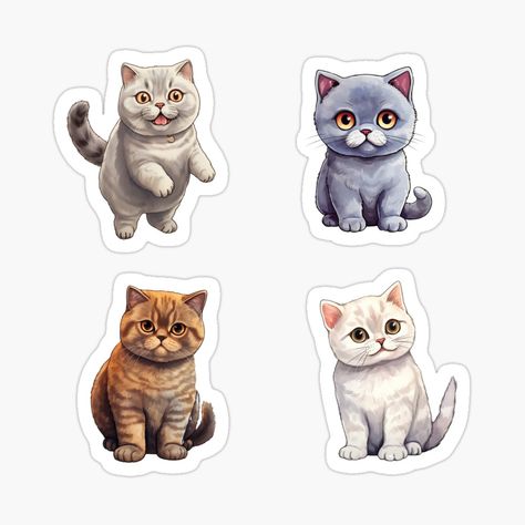 Cute British Shorthair, Exotic Shorthair Cat, Exotic Shorthair, British Shorthair Cats, British Shorthair, Cat Stickers, Cat Owners, Cartoon Cat, Cat Mom