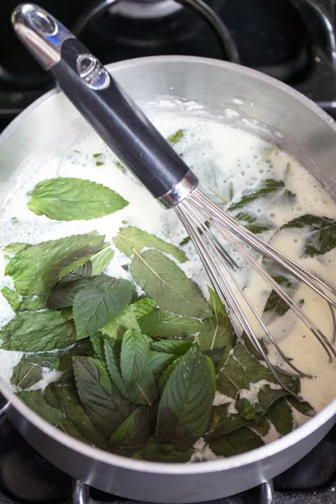 Spearmint Ice Cream, Strawberry Mint Ice Cream, How To Make Mint Ice Cream, Mint Chocolate Chip Gelato Recipe, Mint Chip Ice Cream Recipe, Ice Cream Base Recipe, Fresh Mint Ice Cream, Mint Ice Cream Recipe, Using Fresh Mint