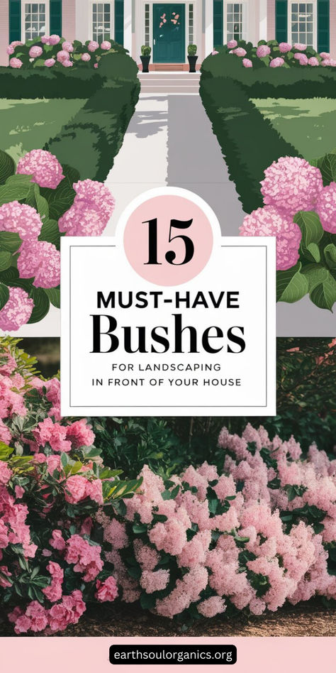 Elevate your curb appeal with these stunning bushes in front of your house. From low-maintenance shrubs to vibrant, flowering options, discover 15 bushes that will make your front yard pop. 🌿 #LandscapingIdeas #BushesInFrontOfHouse Small Trees For Front Yard Curb Appeal, Garden In Front Of Porch, Gardenia Front Yard, Evergreen Bushes In Front Of House, Front Yard Under Window Landscaping, Floral Bushes For Front Yard, Bushes Along Driveway, Knockout Roses In Landscaping Ideas, Annabelle Hydrangea Front Of House