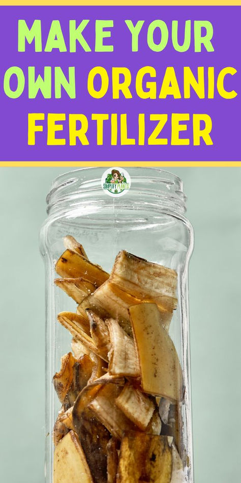 "Discover 11 organic liquid fertilizers you can easily make at home! Explore  simple and effective fertilizer recipes including banana peel fertilizer  recipe, egg shell vinegar fertilizer recipe, and molasses fertilizer  recipe. Perfect for nurturing your plants, these homemade fertilizer for  plants recipes are eco-friendly and cost-effective. Boost your garden's  health with these DIY liquid fertilizers today!" Natural Fertilizer For Garden, Diy Houseplant Fertilizer, Home Made Fertilizer For Plants, Diy Plant Fertilizer Houseplant, Organic Fertilizer For Plants, Home Made Fertilizer, Homemade Plant Fertilizer, Orchid Food, Natural Plant Fertilizer