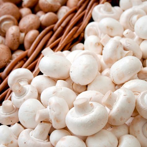 How To Grow Mushrooms, Cauliflower Plant, Grow Mushrooms, Sweet Pea Plant, Asparagus Plant, Mushroom Kits, White Button Mushrooms, Mushroom Growing, White Mushroom