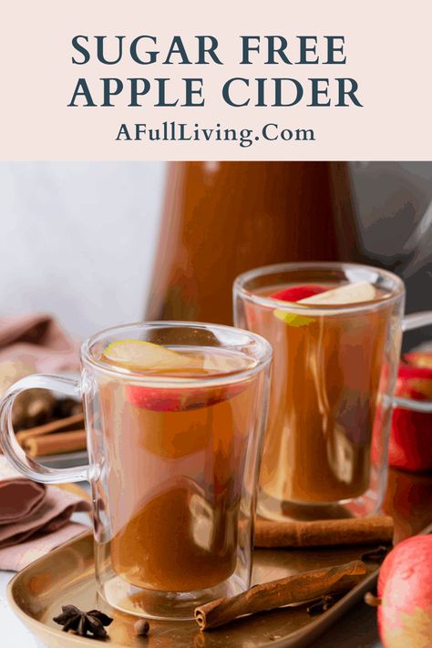 Sugar Free Apple Cider Recipe, Low Carb Apple Cider, Hot Apple Cider Recipe, Wassail Recipe, Apple Cider Drink, Cider Drinks, Sugar Replacement, Apple Drinks, Sugar Free Drinks