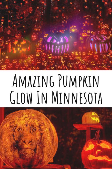 Jack O Lantern Spectacular, Inexpensive Dates, Glow Pumpkin, Carved Pumpkins, Scandinavian Food, Northern Minnesota, Night Couple, Weekend Activities, Road Trip Adventure