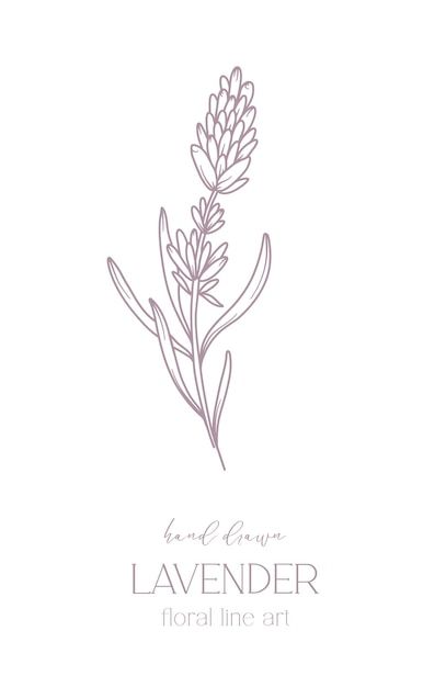 Lavender Line Drawing, Lavender Line Art, White Floral Bouquets, Drawing Black And White, Floral Line Art, Drawing Black, Flower Coloring Pages, Stationery Templates, Black And White Floral