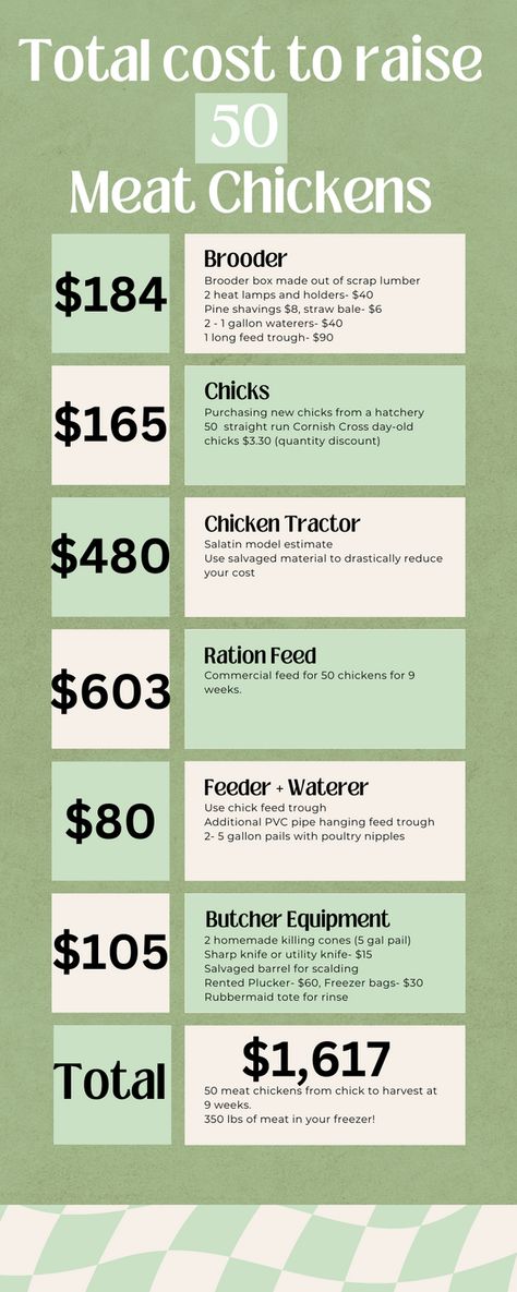 Complete cost breakdown for everything you need to raise your own meat chickens. From new baby chicks, to how much feed will cost for the entire 9 weeks- butchering set up and prices included.  The frugal options vs. the elaborate convenient route. Raising Chickens For Meat, Best Meat Chickens, Chicken Hacks, Chicken Hut, Butcher Meat, Chicken Brooder, Chickens Farm, Broiler Chicken, Day Old Chicks