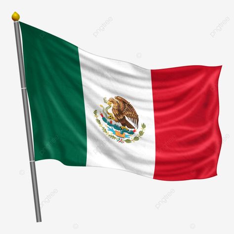 Mexican Flags, Mexico Flag, Cake Inspo, Flag, Collage, Cake, Quick Saves, Tela